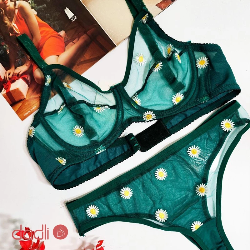 درباره ست برلت