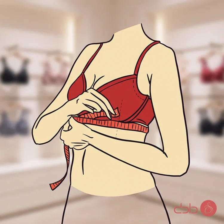 راهنمای انتخاب و​ تشخیص سایز سوتین​